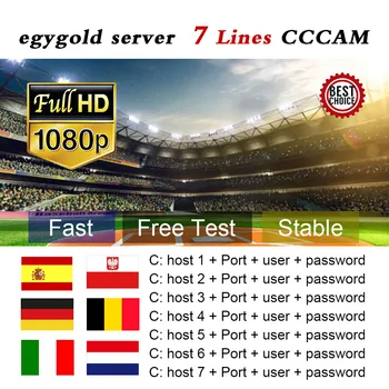 

2019 egygold Cccam HD Cline 1 year 7 lines support Europe Spain Italy Germany satellite TV receiver GTmedia V8 Nova V7 Ccam