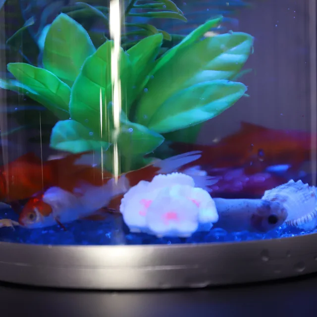 Mini Desktop Lighted Aquarium Fish Tank  6