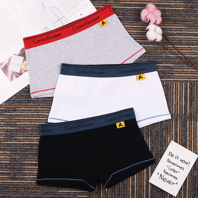 Women Boxer Briefs Cotton Sexy Panty Underwear