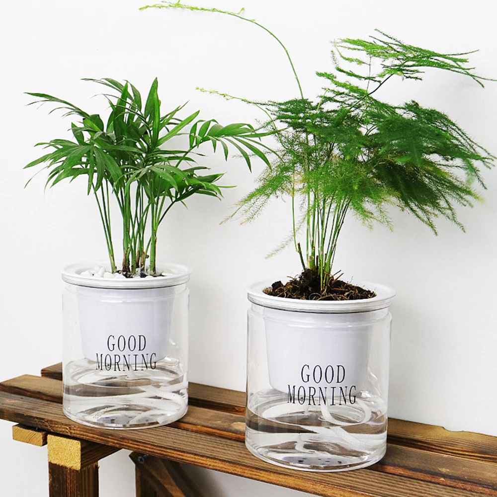 1-X-Lazy-Self-Watering Flowerpot Succulent Transparent Aquaculture Hydroponic Plastic