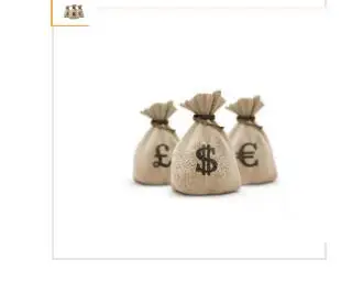 

2020 Extra Fee Payment Link bag