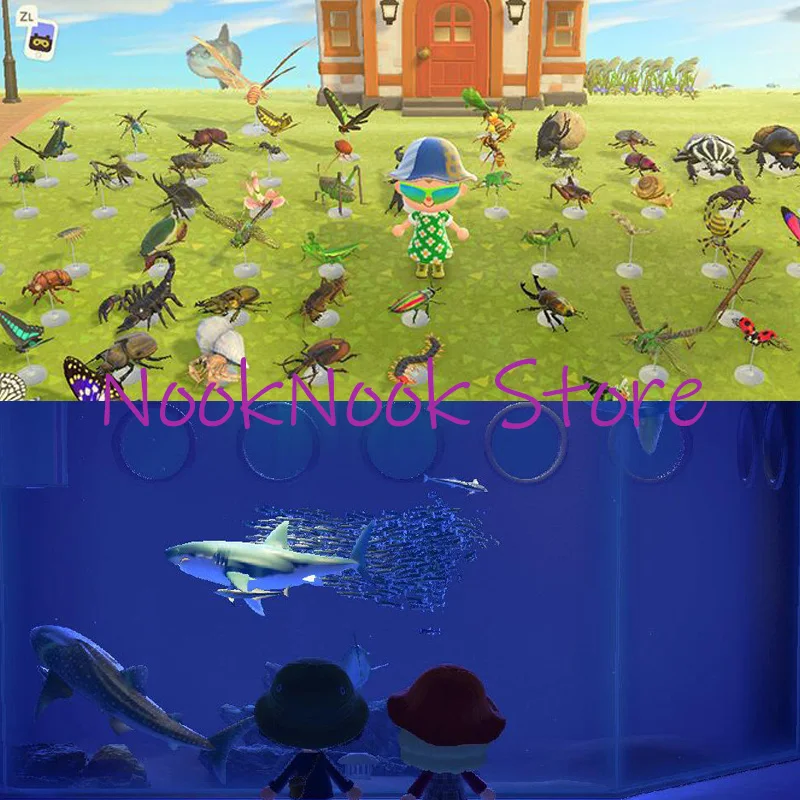 

Animal Crossing New Horizons Fish and Insects for Museum Animal Crossing Marine life/fossil Dodo Code Dodo pin Online Service