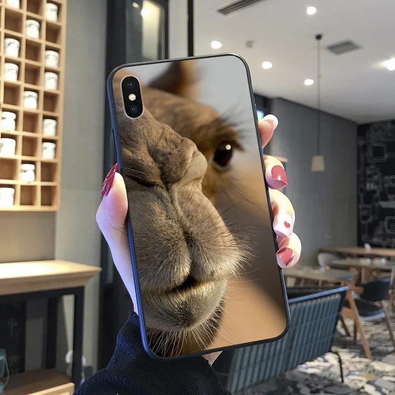 Hewan Unta Lucu Berwarna-warni untuk iPhone 8 7 6 6S Plus X XS MAX 5 5S SE XR 11 11pro Promax Ponsel