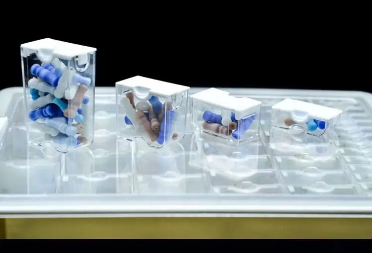 QQ截图20191119201720