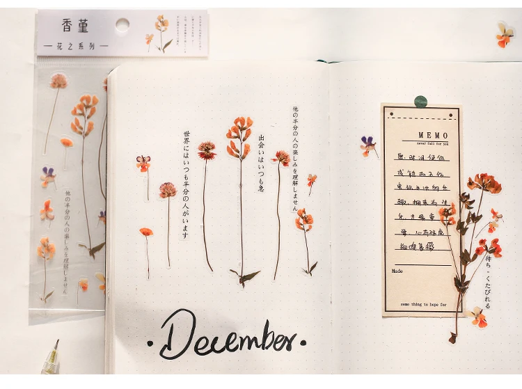 花之系列_14