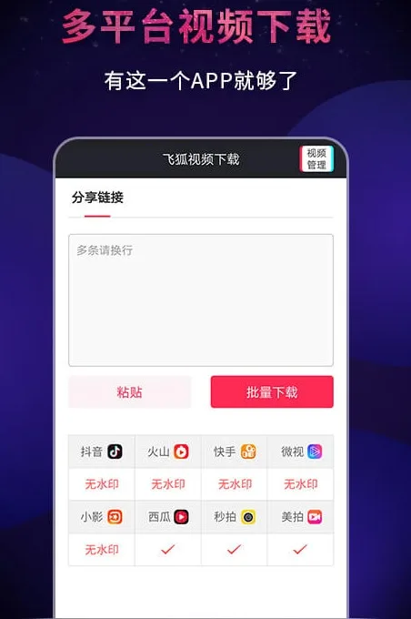 抖音、快手等短视频无水印解析下载工具：飞狐视频下载器 配图