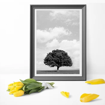 

Black And White Collins Gem Tree Wall Art Canvas Poster Print Canvas Painting Canvas Wall Pictures For Home Decoration
