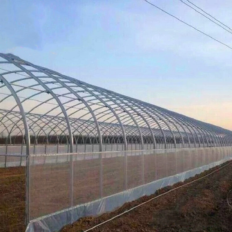 Single 8m wide super long tunnel agricultural planting plastic greenhouse