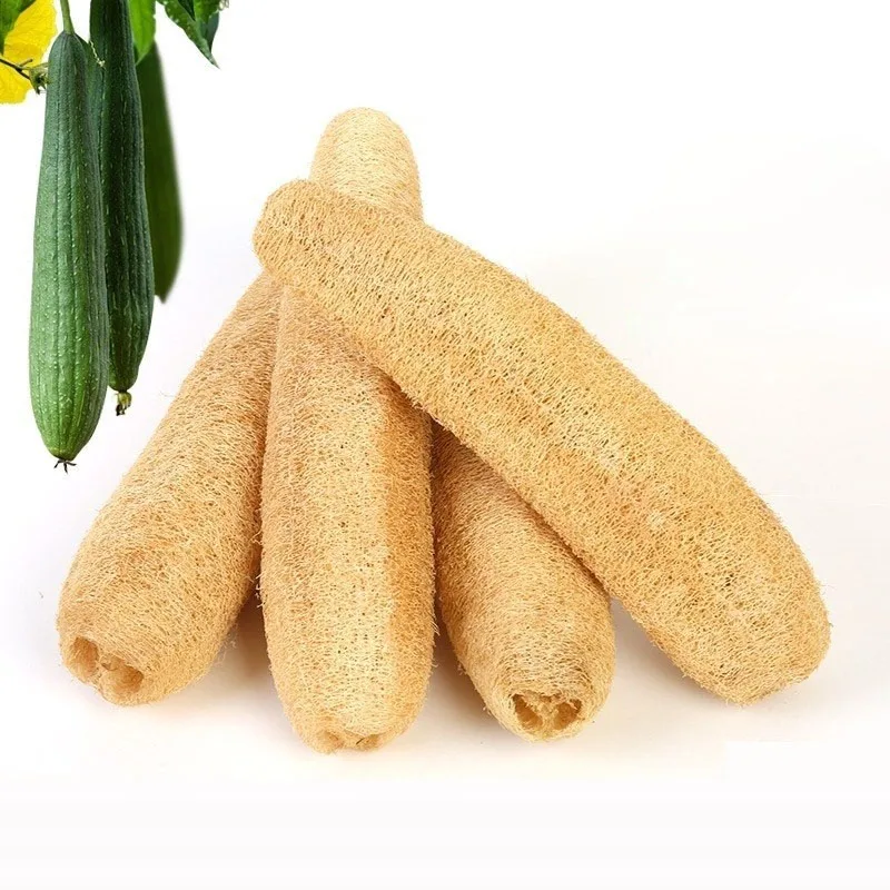 Губка для мытья посуды губка кухни антипригарная 20 25 см|Чистящие щетки| |