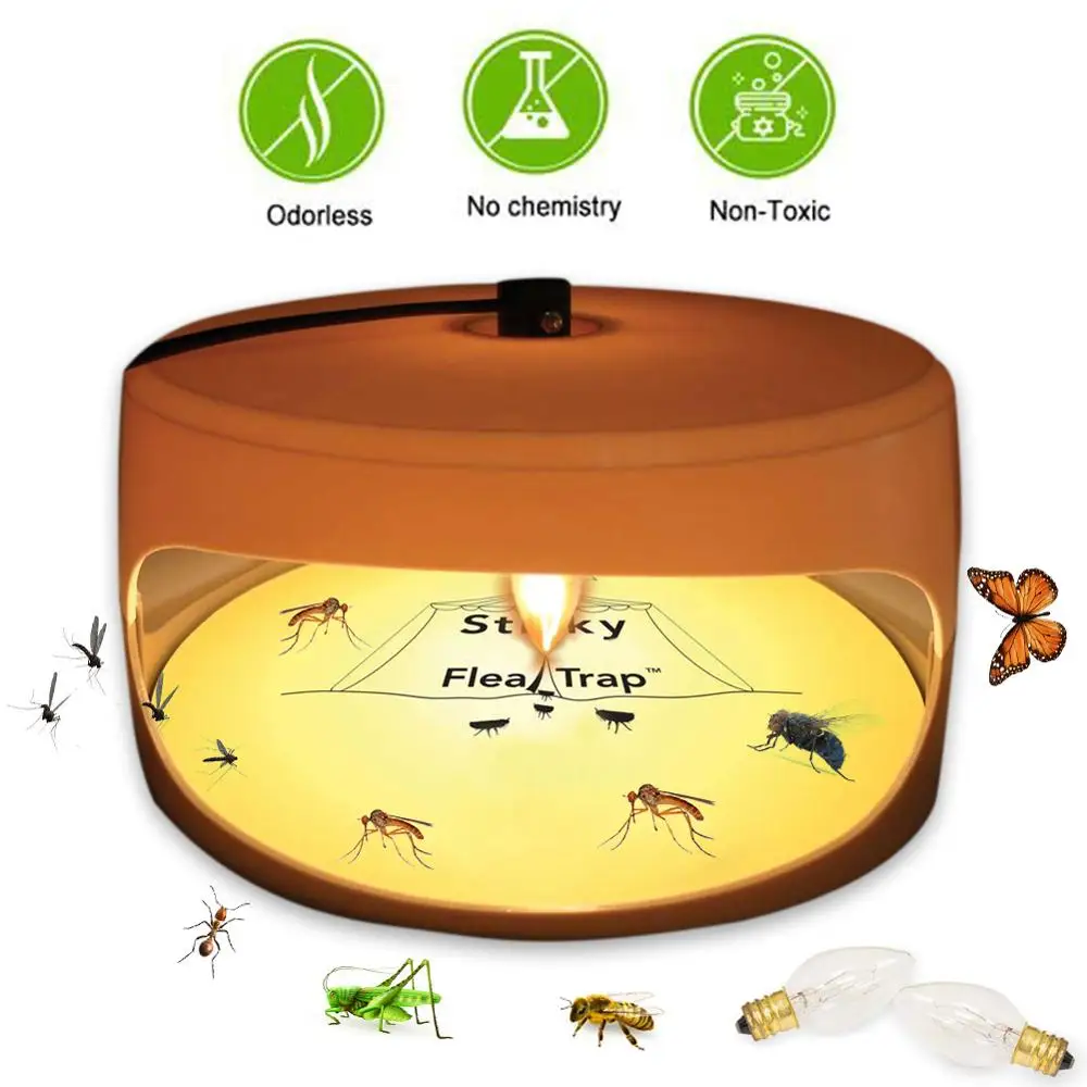 Non Poisonous Strong Flea Trap Lamp Discs Pest Sticky Board Catching Non-toxic Insect Killer Home Catcher Household Bug Control