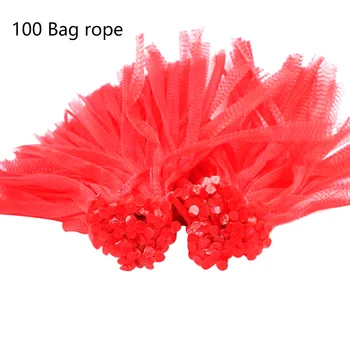 

100pcs Net Carrying Multipurpose Portable Food Packaging Mesh Bag Elastic Practical Reusable Fruit Growth With String Gardening