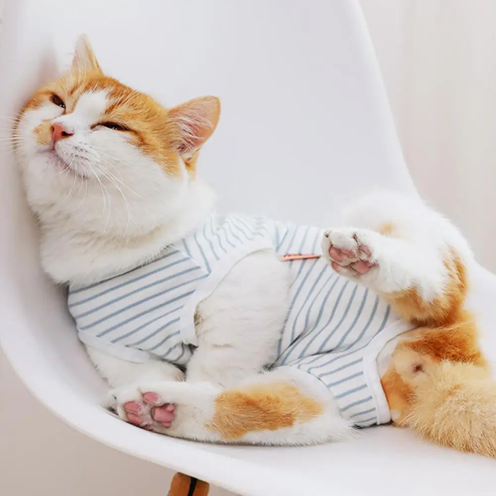 Cat Sterilization Jacket Summer Thin Section Weaning Kitten Costume Cute Siamese Female Cat Surgery Suit Pet Clothing
