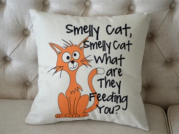 

New Zippered Pillow Cushion 17x17 Inch For Friends smelly cat