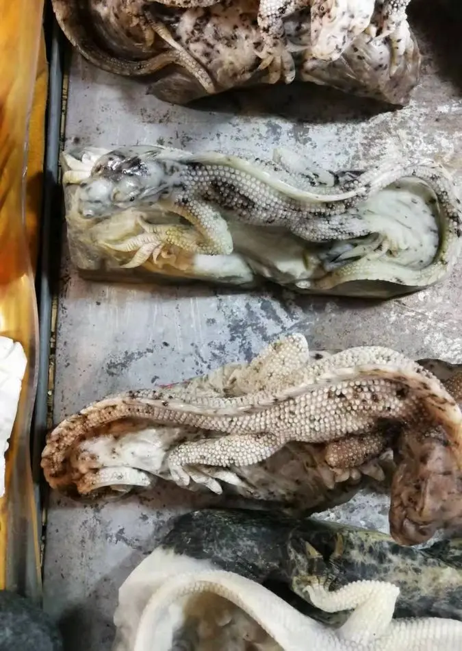 Природа жадеит lacertid Хамелеон Carven anole нефритовые статуи рептилий счастливый зверь