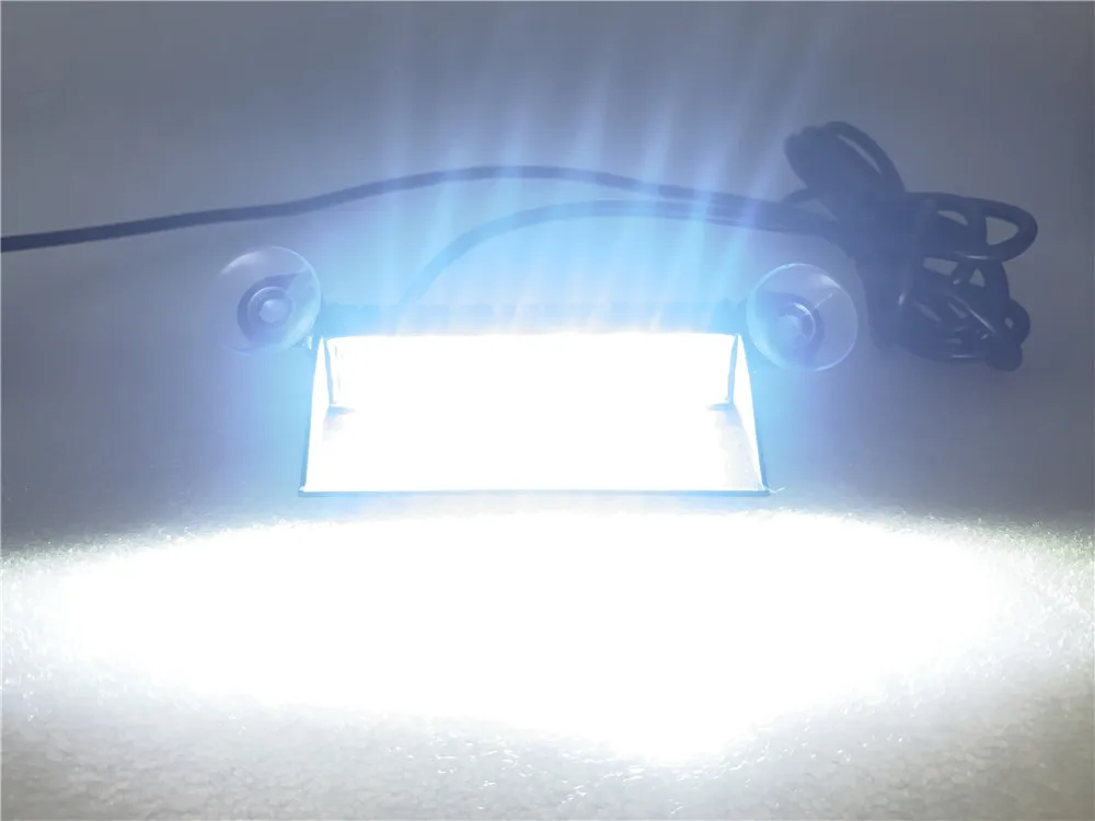 High Quality Segurança e Proteção