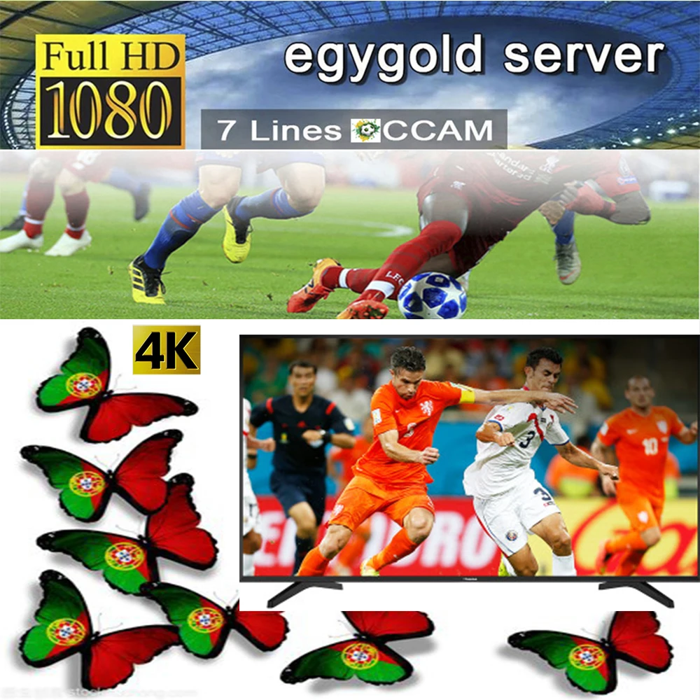 

egygold.net 2020 latest 7 Cline Is Suitable for Spain Portugal Germany Poland V8 Nova Satellite TV Receive Cccam Europa