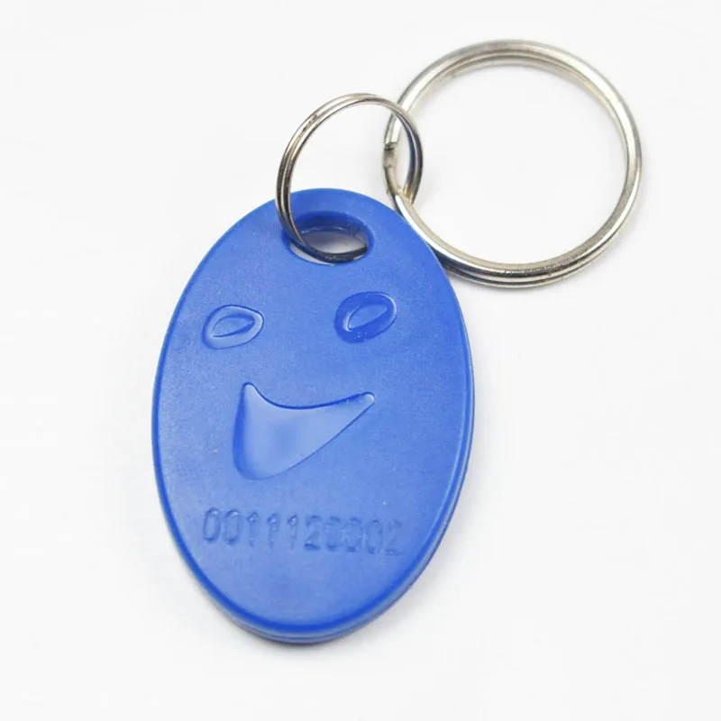 Pack of 100 RFID Key Fob Keychain Tags