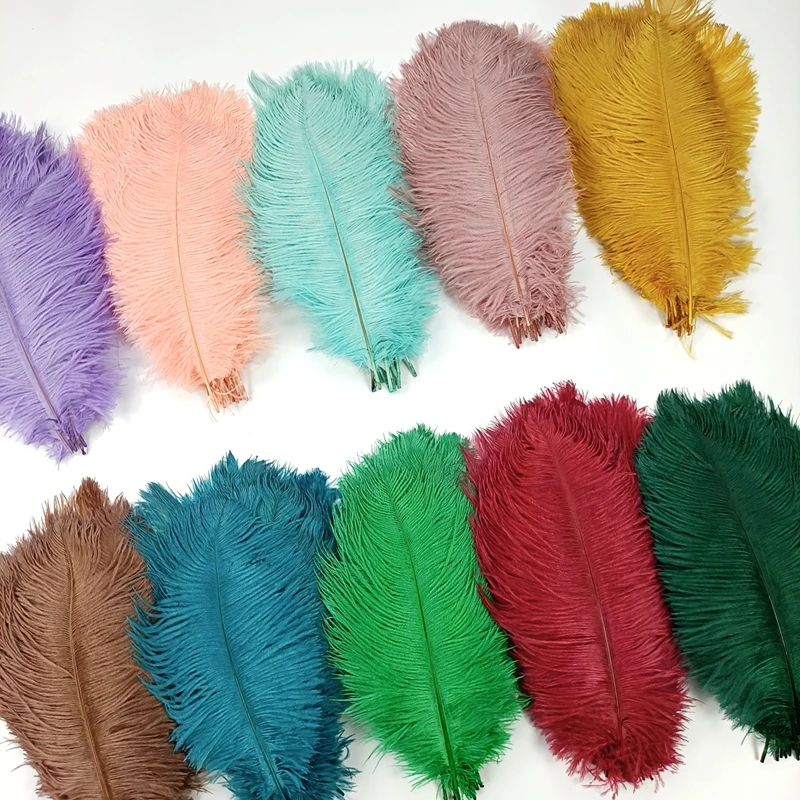 Wholesale 10Pcs/Lot New Colorful Ostrich Feathers White Black Feather Decor Plumes Vases Party Wedding Accessories Decoration