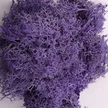 10 г/вспомогательный материал мха нечистоты вечный цветок МХ Сделай Сам свежий цветок материал сыпучий вечный мох образец День святого Валентина