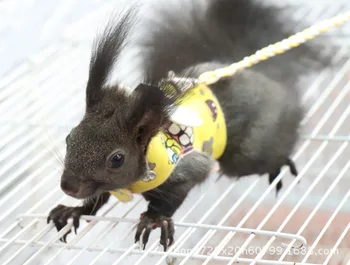 

Devil Squirrel Clothes Squirrel I-shaped Clothing Traction Rope Two-piece Squirrel Vest Type Traction Rope Harness