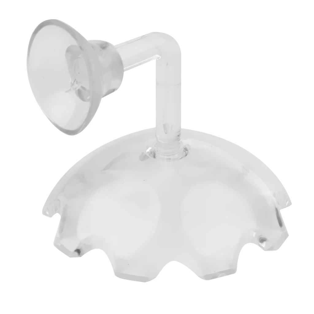 

Feeding Dish for Dwarf Shrimps,Snail, Fish, Aquarium Invertebrates Clear Glass Shrimp Feeder Tray