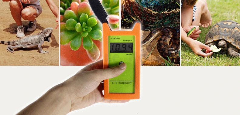 Reptile-specific UVB Tester UVB Test Instrument UV Test Instrument Climbs The Favorite Tortoise Lizard