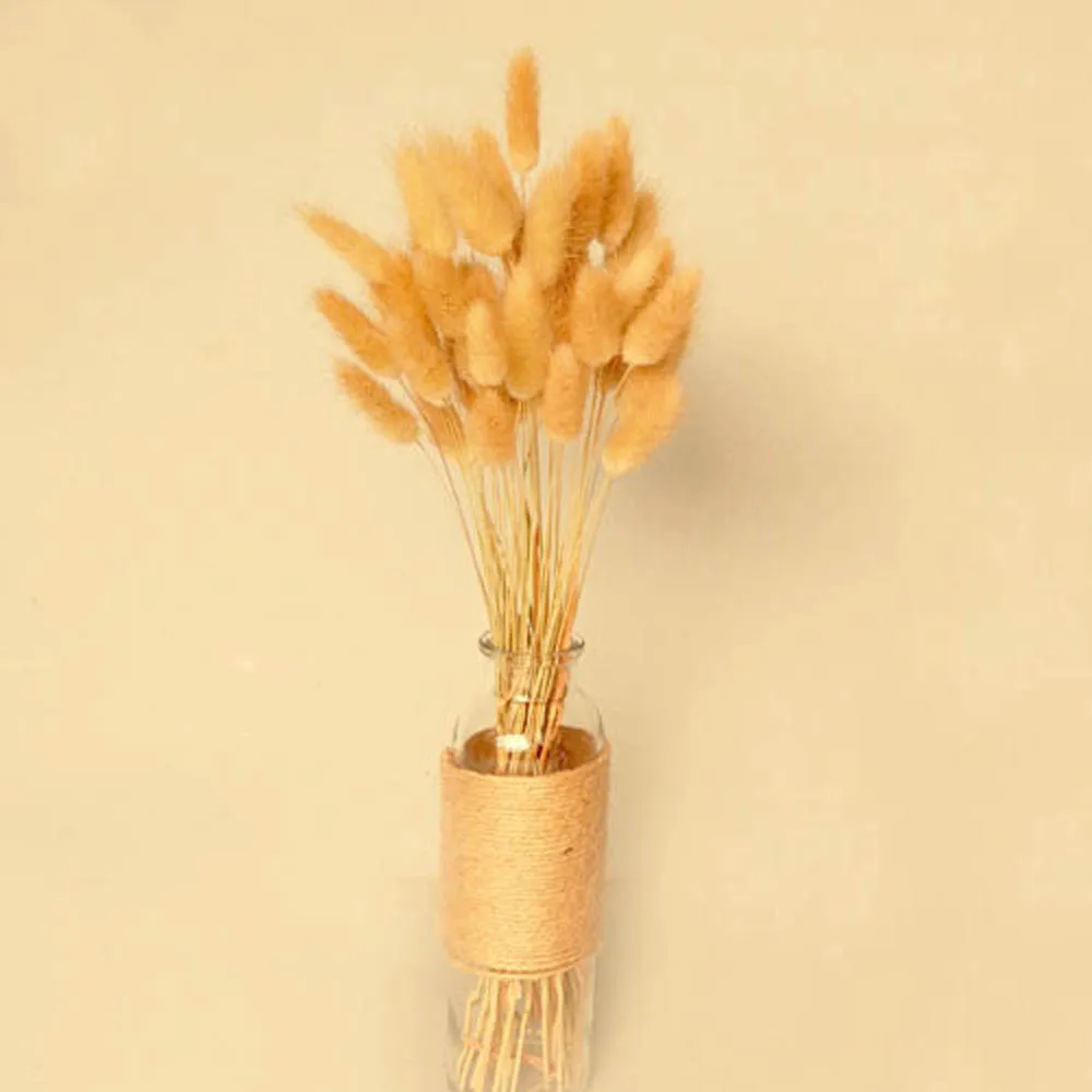 TB2TGkSdseK.eBjSszgXXczFpXa_!!2965731270