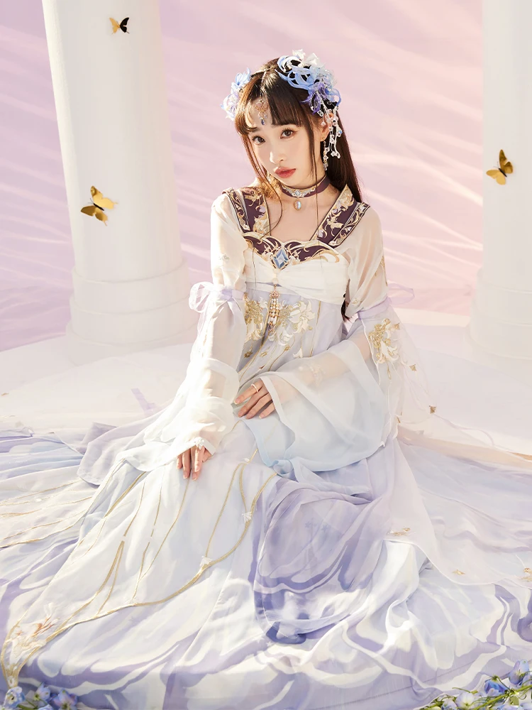 New Improved Hanfu Clothes For Women Adult Chinese Style Female Cosplay Suit Tang Dynasty Princess Dress Purple Hanfu DQL6492