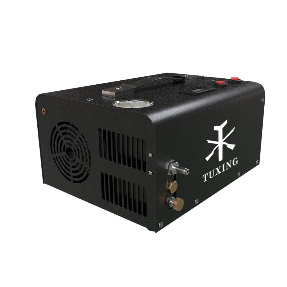 Compresor de aire portátil PCP, bomba de alta presión para Rifle de aire neumático y tanque de 110V/220V, TXET061 4500Psi 300Bar 30mpa 12V