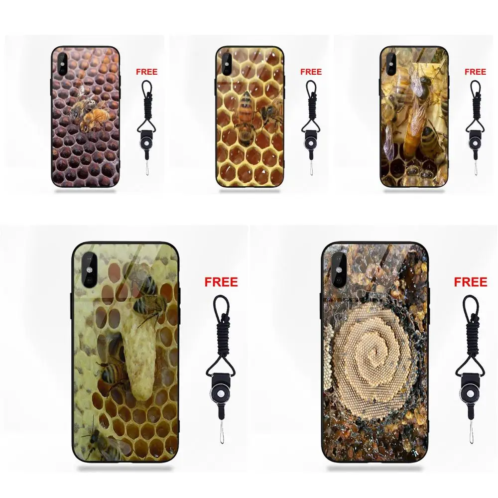 Bees On Honey Comb Soft TPU Frame+Tempered Glass Personalized Pattern For Apple iPhone X XS Max XR 5 5C 5S SE 6 6S 7 8 Plus |