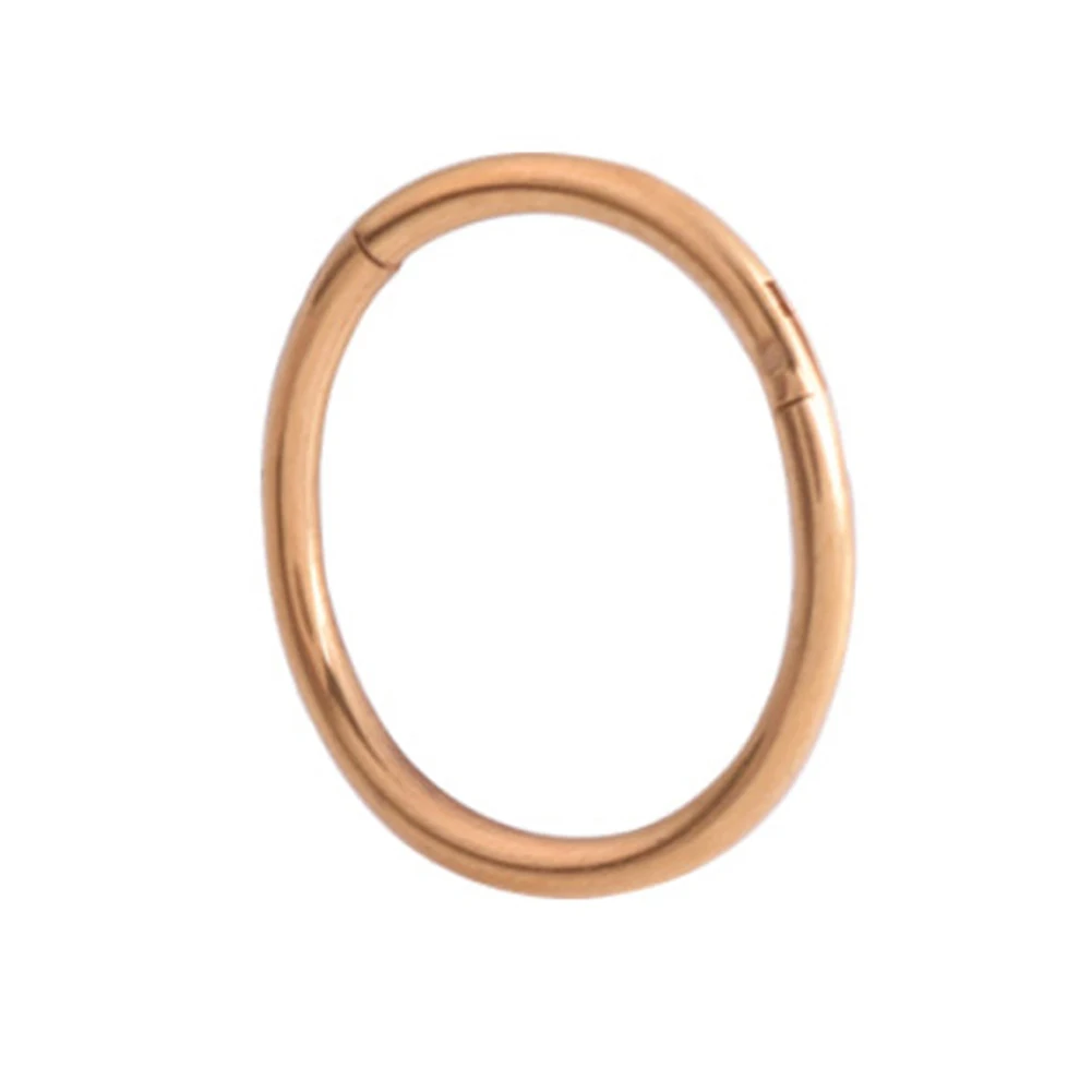rose gold 1 шт. титановое шарнирное сегментное кольцо для носа и уха хряща трагус спираль губ пирсинг кольца и штифты для носа Радуга золото черный Панк ювелирные изделия - Окраска металла: rose gold
