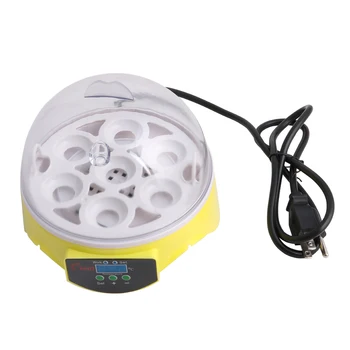 

Mini Incubator 7 Egg Hatcher Digital Bird Temperature Control Automatic US Plug