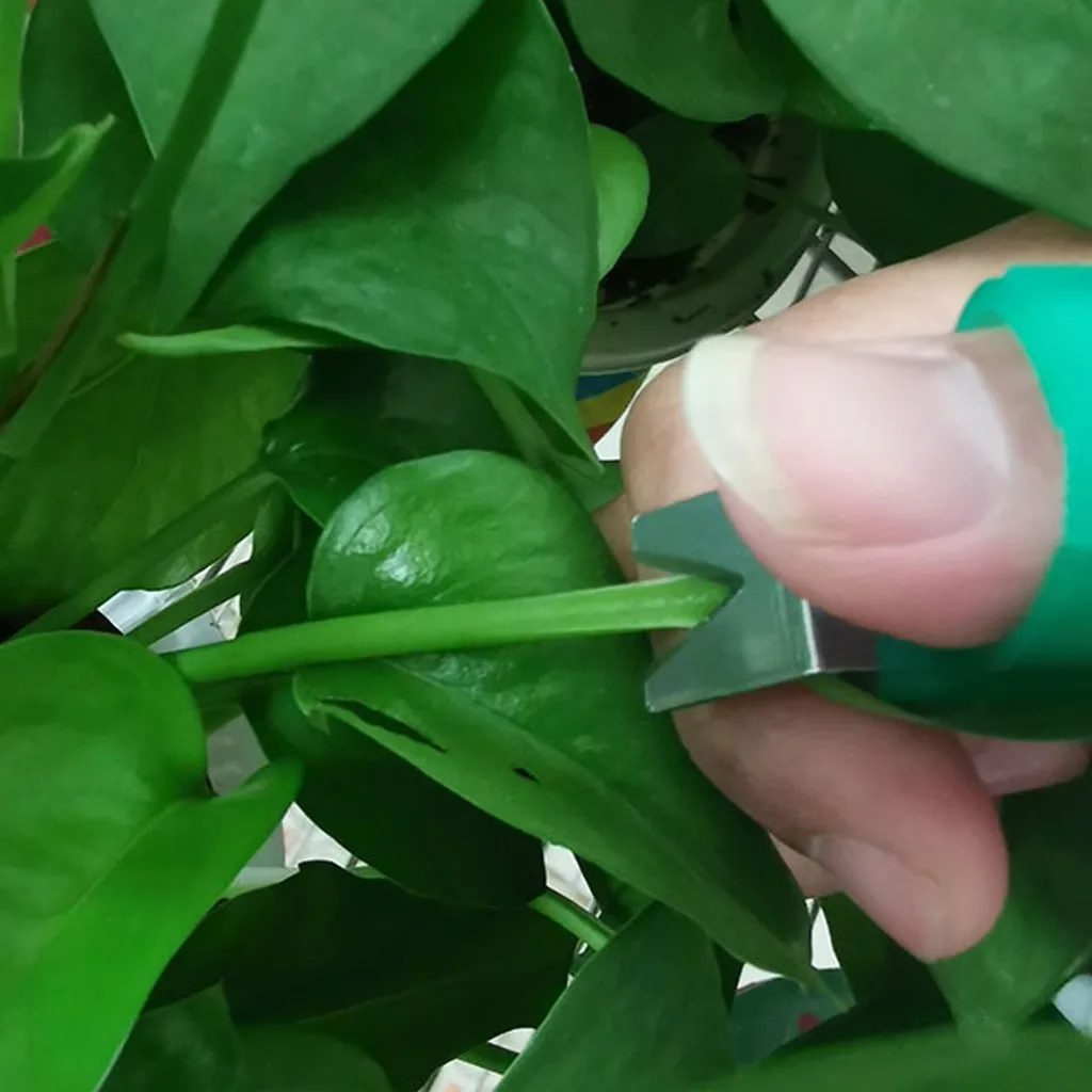 3 шт. садовый разделитель пальцев резак для уборки растений инструменты для овощей многофункциональные аксессуары DE3