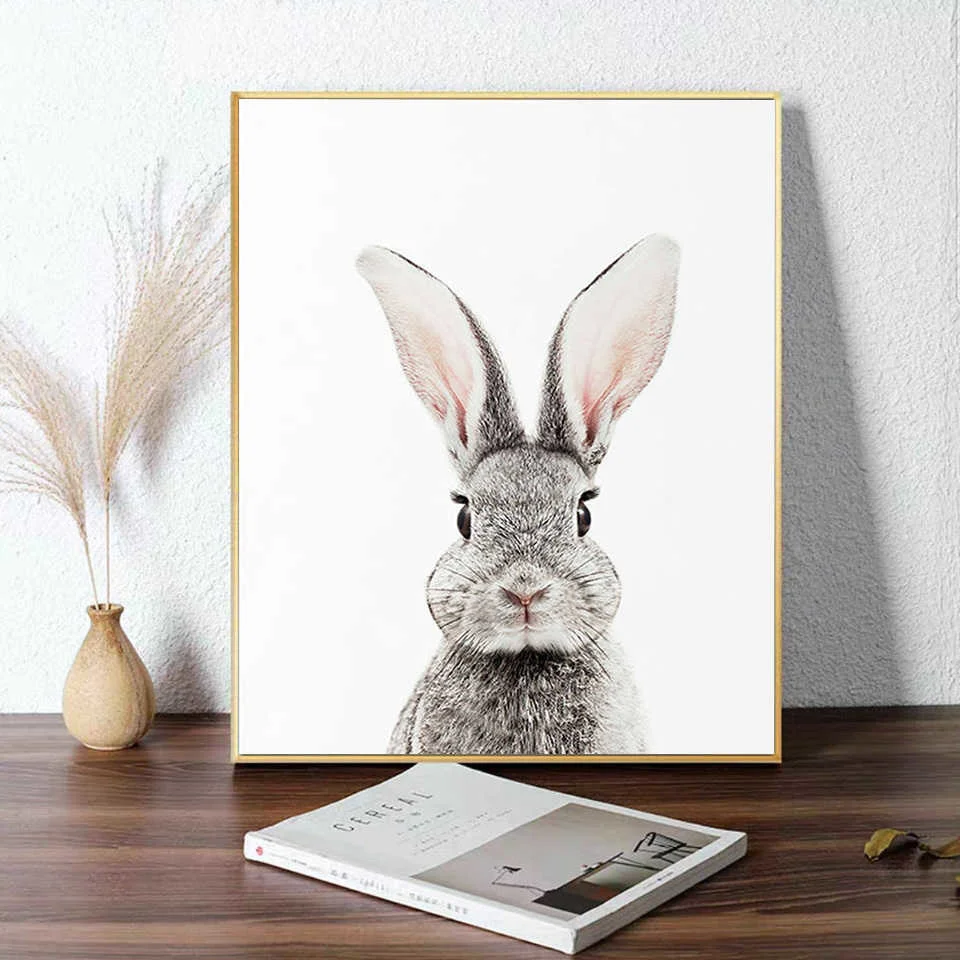 5.jpg_.webp 5.jpg_.webp