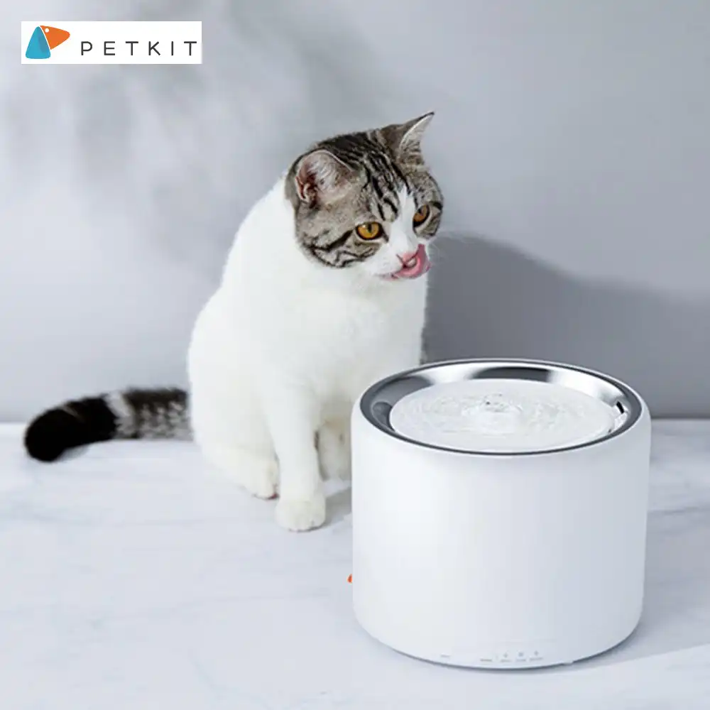 xiaomi pet fountain