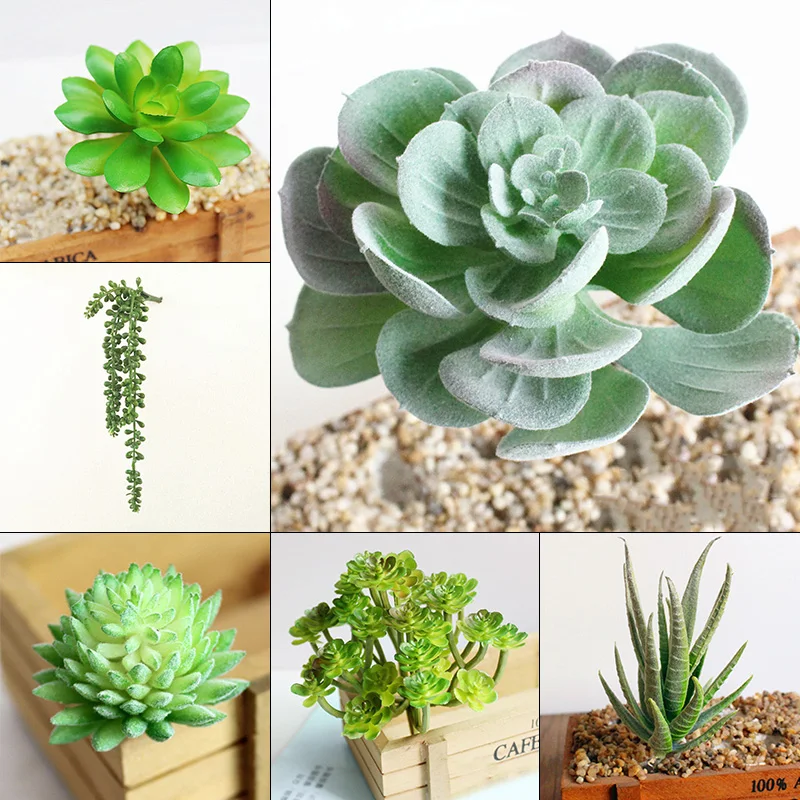 6 шт./компл. Unpotted Искусственные суккуленты Ассорти искусственный украшения из растений "сделай сам"