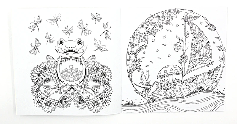 Книга раскраска Зачарованный лес 24 страницы 1 шт.|books for children|coloring bookpainting drawing book |