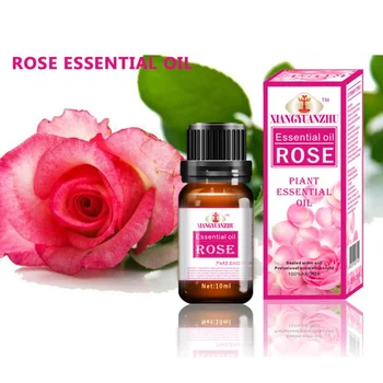 

Rose Essential Oils For Aromatherapy Diffusers Pure Essential Oils Organic Body Massage Relax Fragrance Oil Skin Care