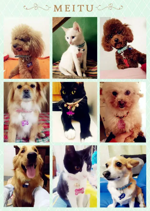 HTB13nKcMXXXXXaLXFXXq6xXFXXXp