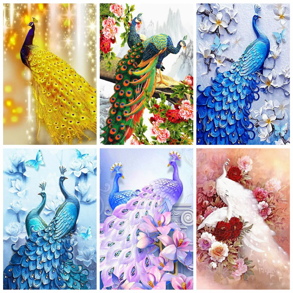 Huacan pintura con diamant, bordado de plumas abstractas completas