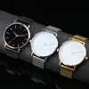 Men Watch 2023 Luxury Top Brand Quartz Watches Business Simple Ultra Thin Mesh Wristwatch Men's Clock Reloj Hombre Montre Homme 5