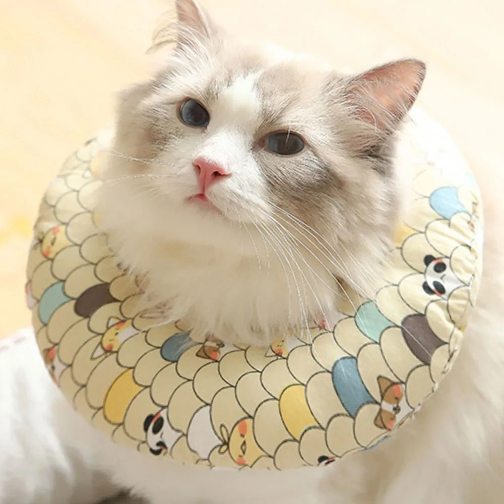 307641_no-logo_307641-1-06-g