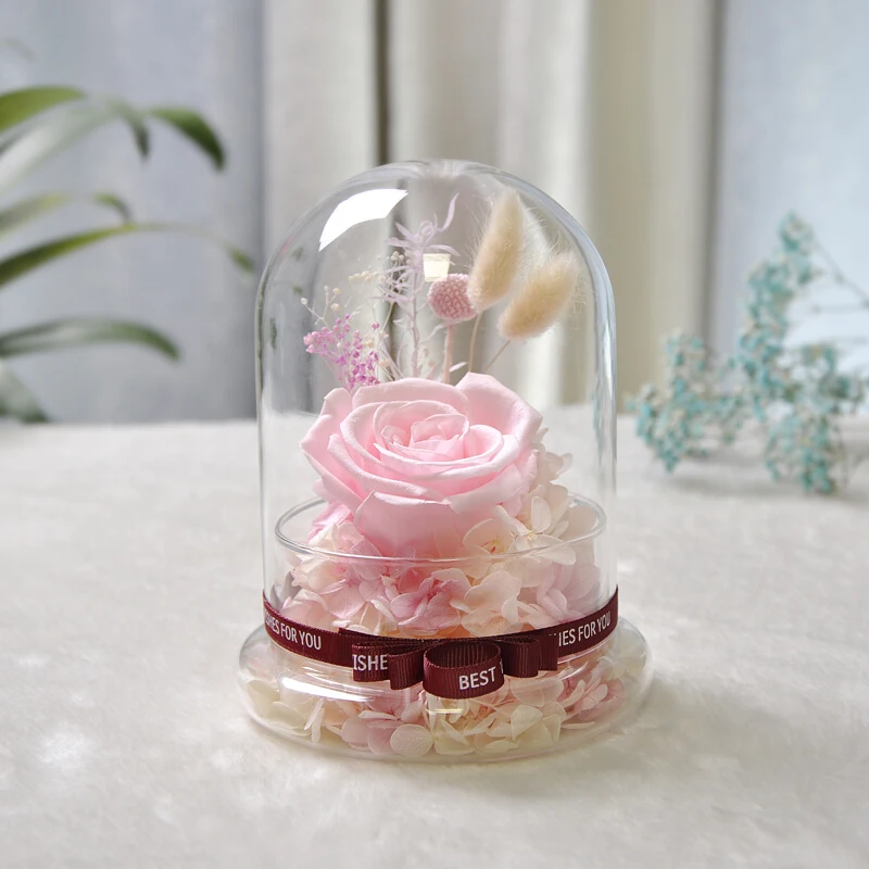 Free Shipping 12*15cm Diameter=12cm Glass Base Glass Dome Vase Home Decoration Glass Cover Vase Friend Gift Wedding Decoration