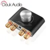 Douk audio Mini Bluetooth 5.0 Digital Amplifier NS-01G Hi-Fi Stereo Home Audio TPA3116 Power Amplifier 100W ► Photo 1/6