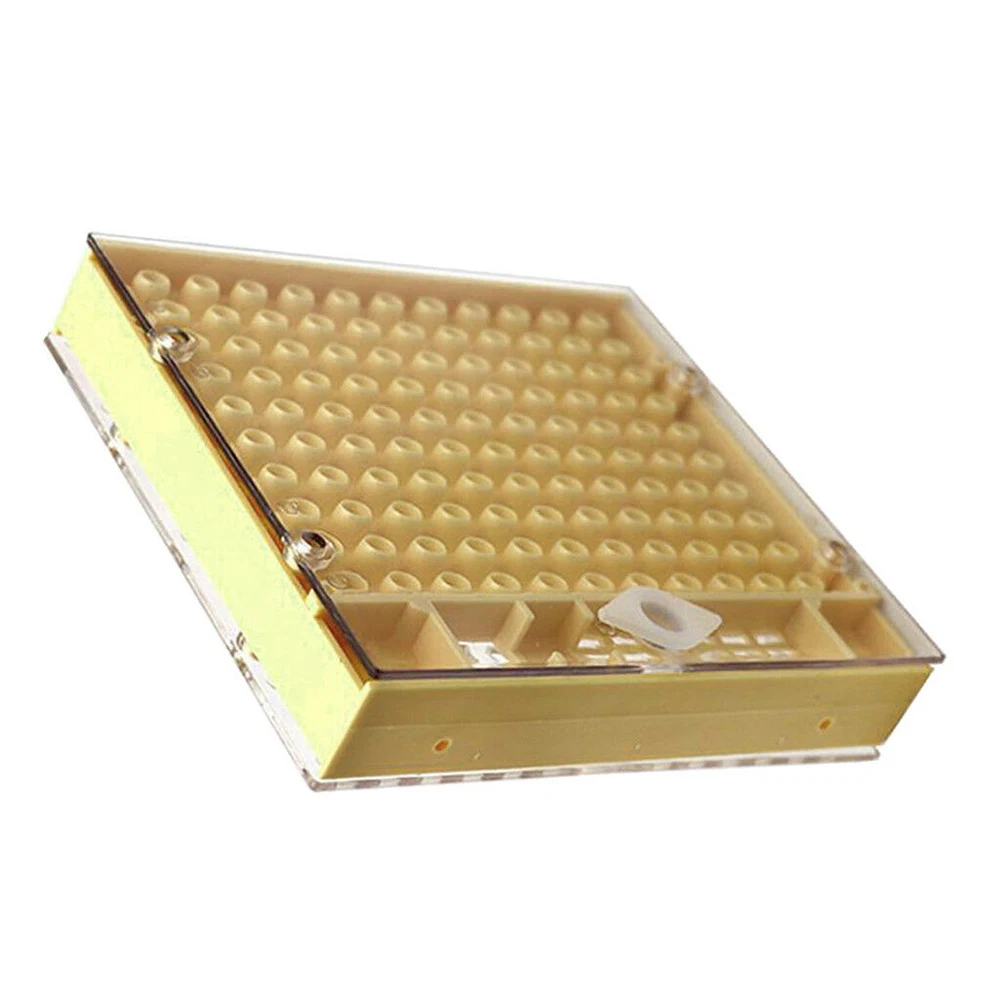 Non-toxic Durable Cell Cup Large Garden Queen Rearing System Beekeeping Tools Plastic Equipment Set Bee Cage Cultivating Box