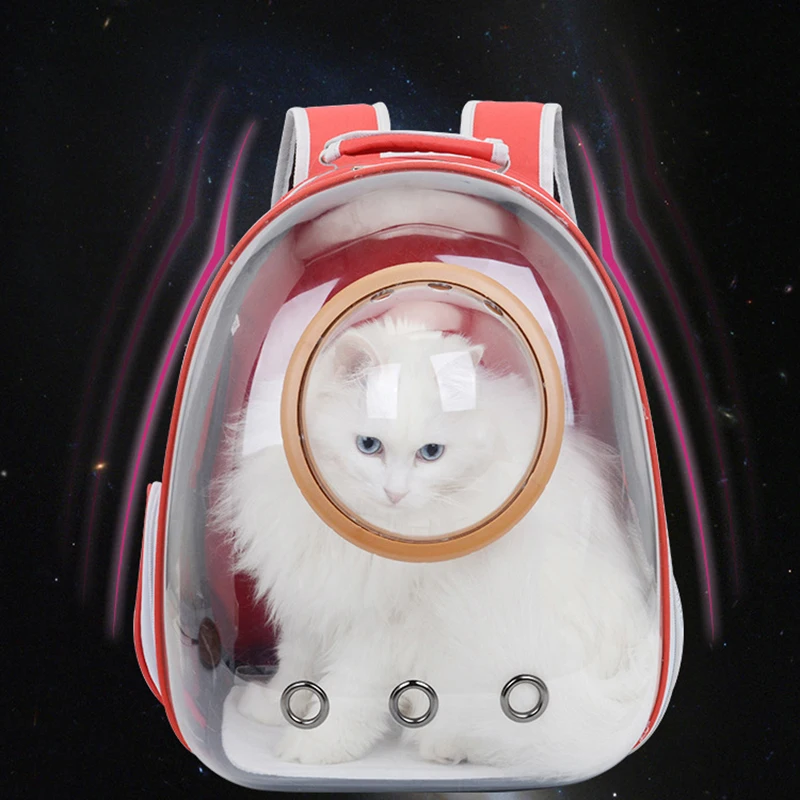 Breathable Pet Cat Backpack Transparent Small Bag Carrier Bag Cats