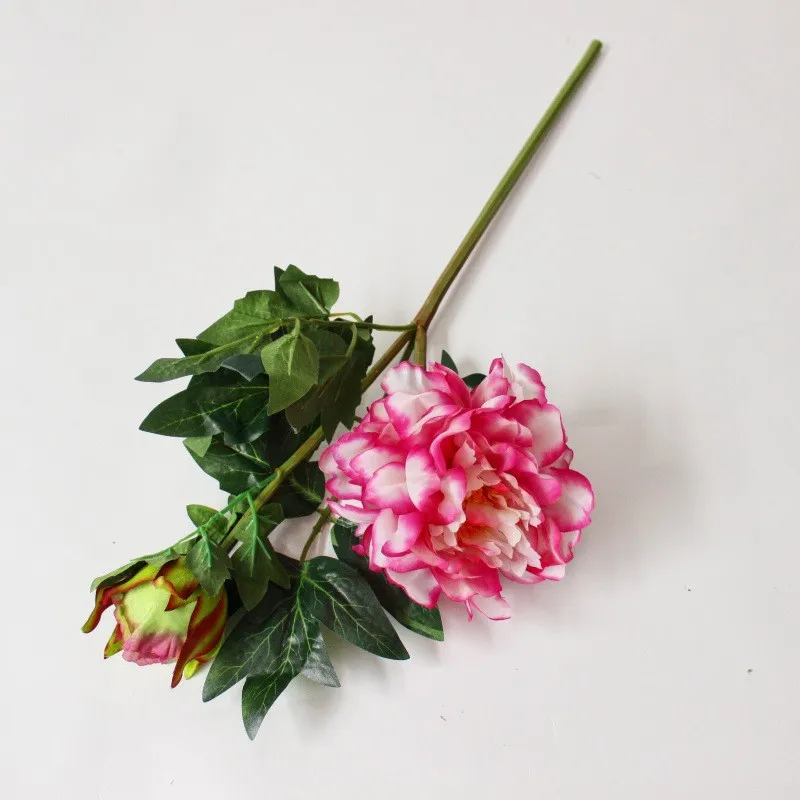 9337470179_2132096240