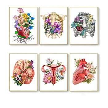 

5D Diamond Embroidery Organ Anatomy Brain Heart Wall Art Painting Full Drill Square/Round Wall Pictures for Medical Room Decor
