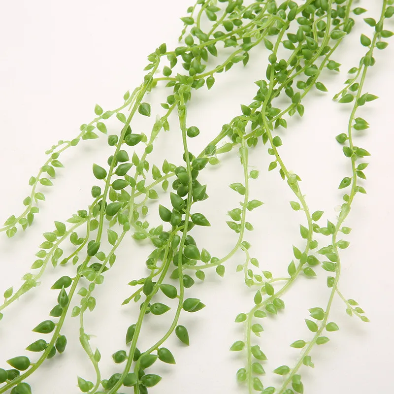 10176069720_466098134