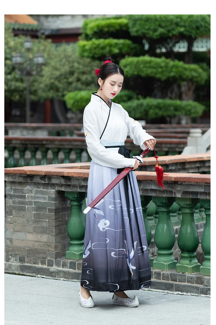 Traditional Chinese Hanfu Clothes For Men'S Ancient Elegant Printing Embroidery National Tang Suit Women Folk Dance Wear DL4194